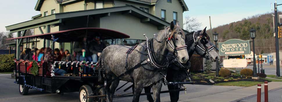 Sherwood Motel exterior horse-drawn carriage | Wellsboro, PA | Sherwood Motel Inc